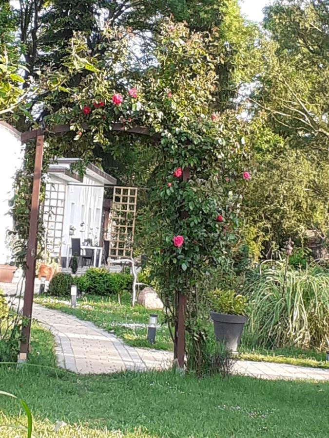 Ferienwohnung Ferienhaus Ciara Splietsdorf Exterior foto